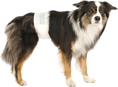 Pañales Para Perros Machos Talla S–M – Protección Absorbente Para Incontinencia & Marcaje – 12 Unidades Con Cierre Adhesivo & Elástico – Contorno De Cintura 30–46 Cm